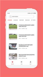 格式大师官方版