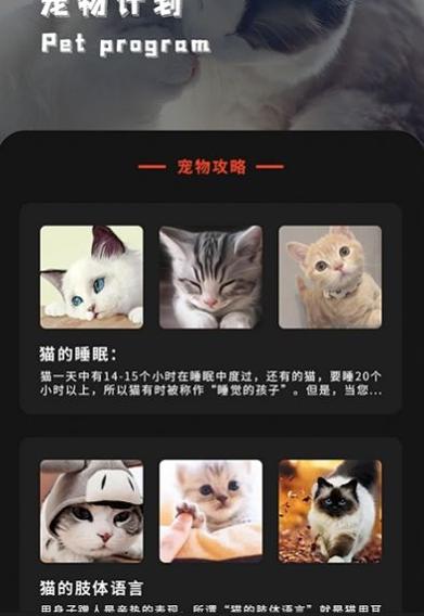 喵喵之家壁纸.jpg