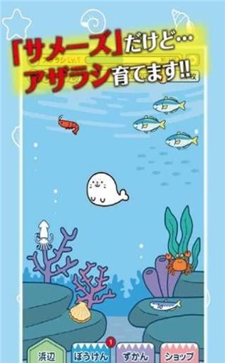海豹养成截图0