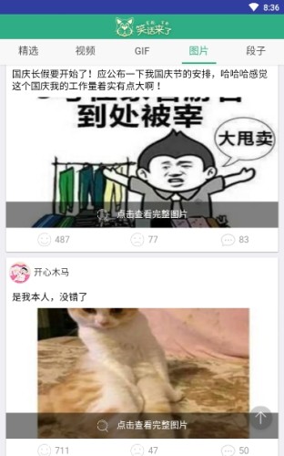 笑话养猪场