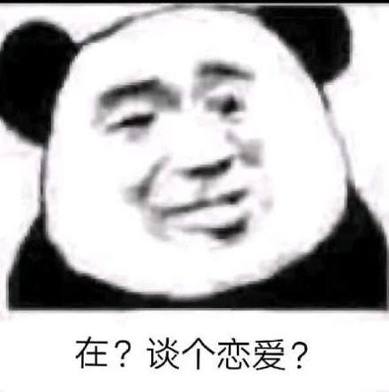 我只是想在过年前谈个恋爱而已表情包