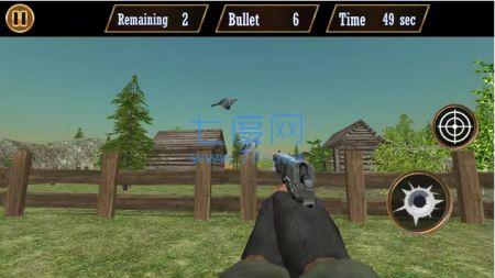 鸽子射击(Pigeon Shoot)