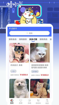 噜哆哆宠物.jpg