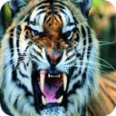 猛虎扑食3D游戏