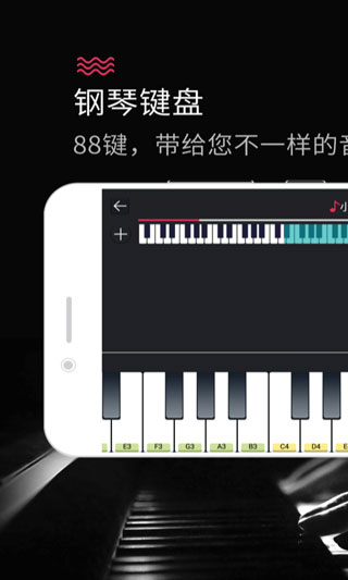 钢琴键盘截图2