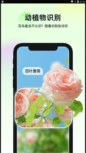 智能识万物扫一扫