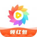 全局透明壁纸pro