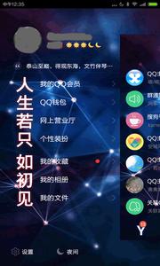 主题大师截图3