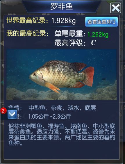 钓鱼大咖王者之战