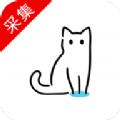 猫影视t