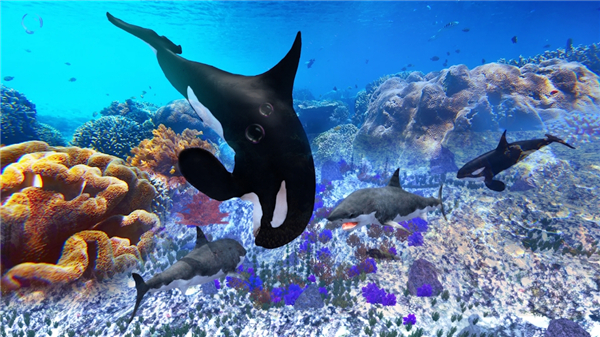 虎鲸模拟器官方版(The Killer Whale) v1.1.0