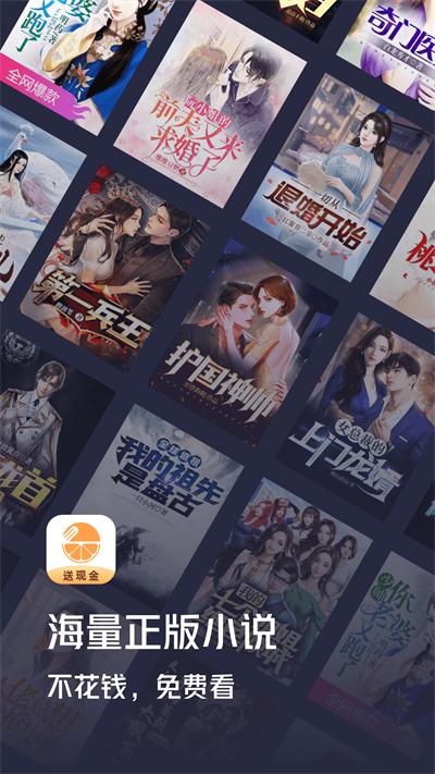 青橙小说赚钱版