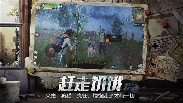 明日庇护所截图2