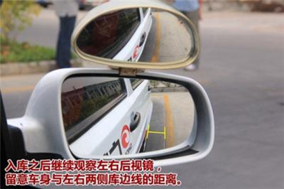 小鹿学车