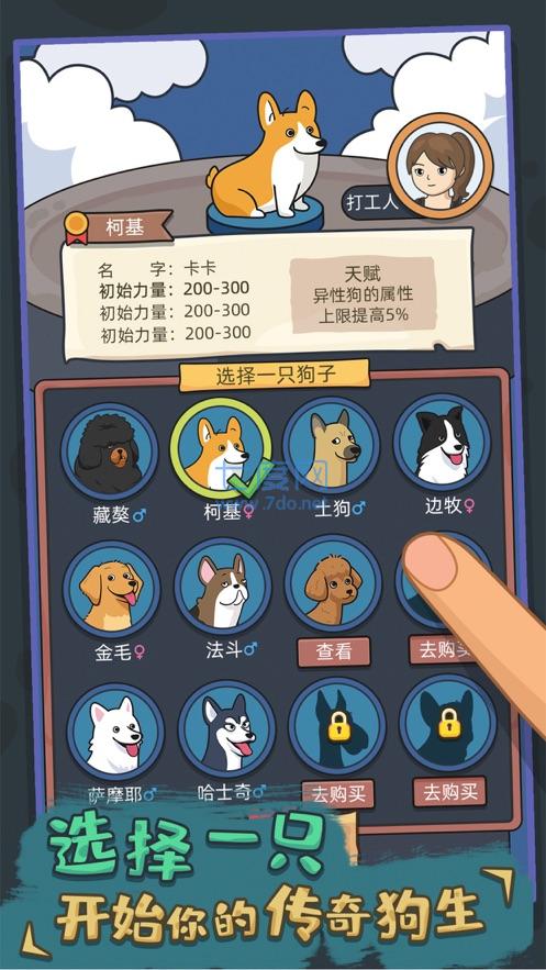 狗生模拟器免广告截图1