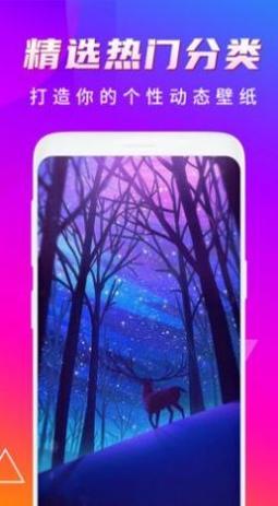 Biu主题壁纸 v5.3.12