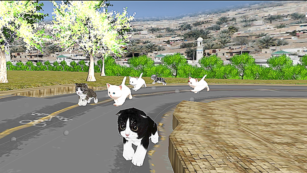 小猫猫世界锦标赛游戏.jpg