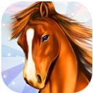 马儿的天堂：我的梦想牧场