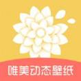 唯美动态壁纸下载安装手机版