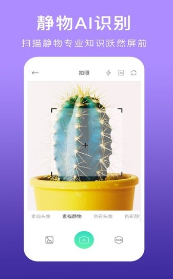 美术拍 2020-09-21 08:40