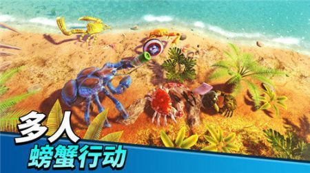 螃蟹之王最新版截图2