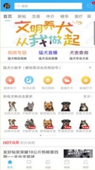 猛犬俱乐部截图0
