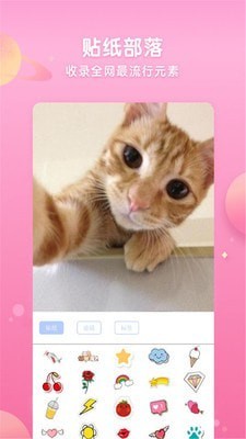 neon霓虹相机  v7.1.6