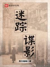 迷踪谍影精校版