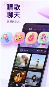 Flag截图0