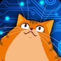 机器人想要小猫游戏RWK