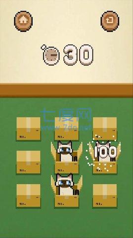 数猫猫截图1
