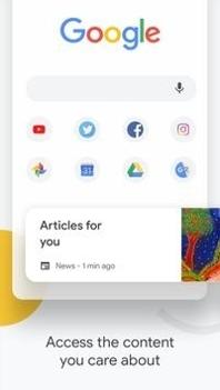 Google Chrome手机版截图1