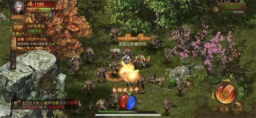 凤凰传奇单职业