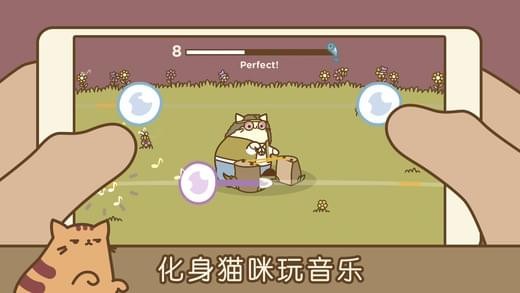 音乐猫咪截图2