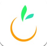 橙宝网