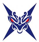霸耀电竞