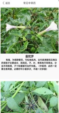 养生健康减肥截图2
