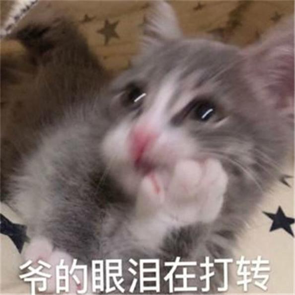 dy2021dyggzr.jpg
