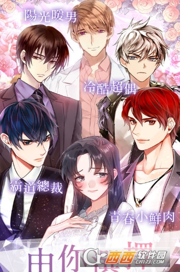 选择爱情中文版