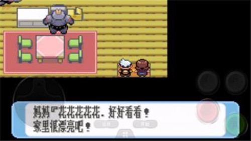 口袋妖怪红宝石386版截图0