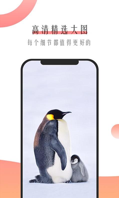 米柚壁纸.png