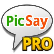 picsaypro完美