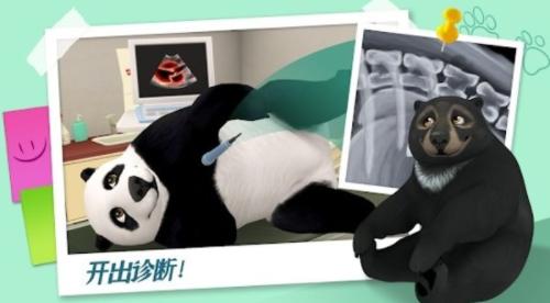 我的动物医院截图1