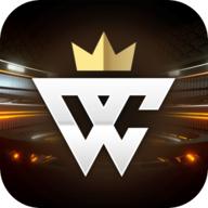 音速冲击世界冠军