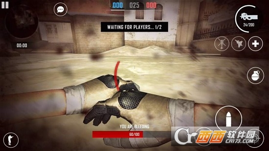 突击队Online(Strike Team Online)