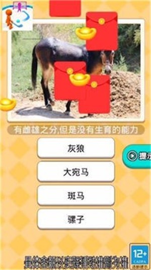 曲棍球高手  v1.0