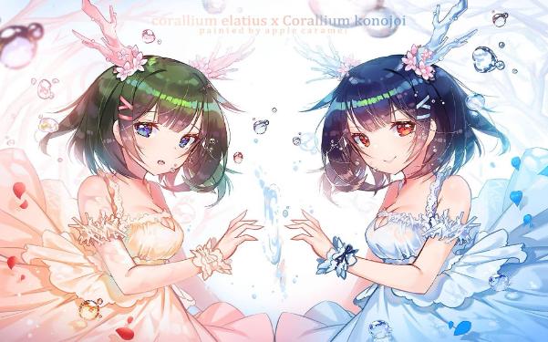 雨后的小故事截图1