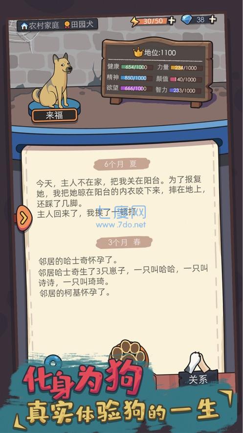狗生模拟器免广告截图3