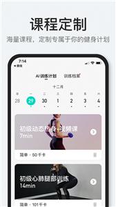 POPFit