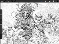 procreate 版本：v4.5.3